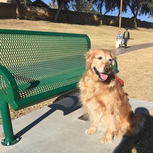 Meet your Posher, Ross